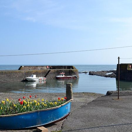 Villa Harbour View Johnshaven Exterior foto