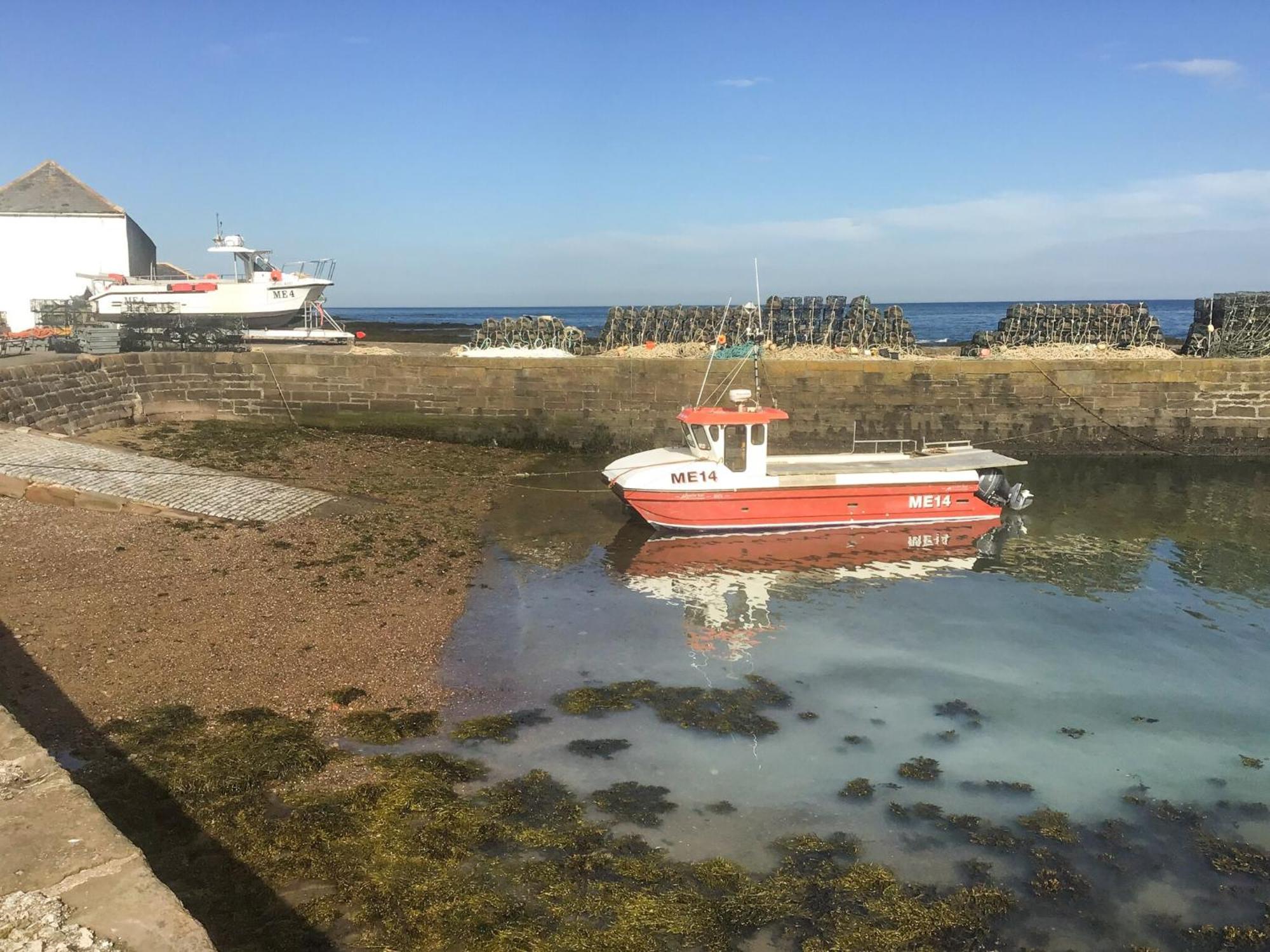 Villa Harbour View Johnshaven Exterior foto